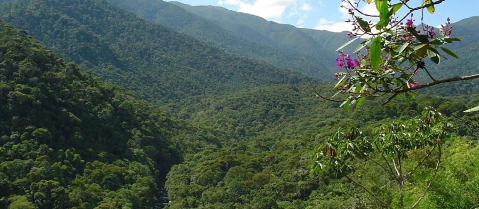 Stay In Itatiaia Екстериор снимка